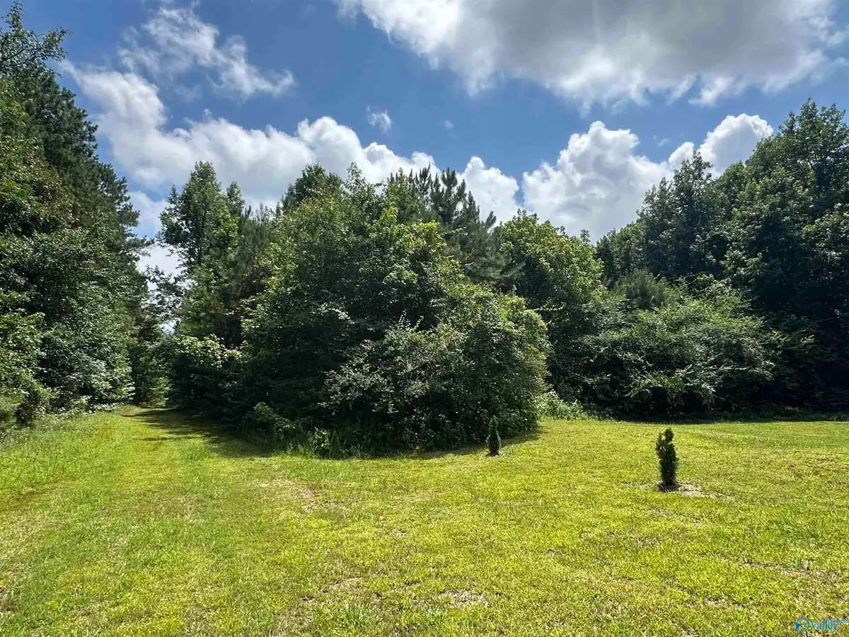 3 Acres Mount Carmel Drive, Guntersville, AL 35976 - #1