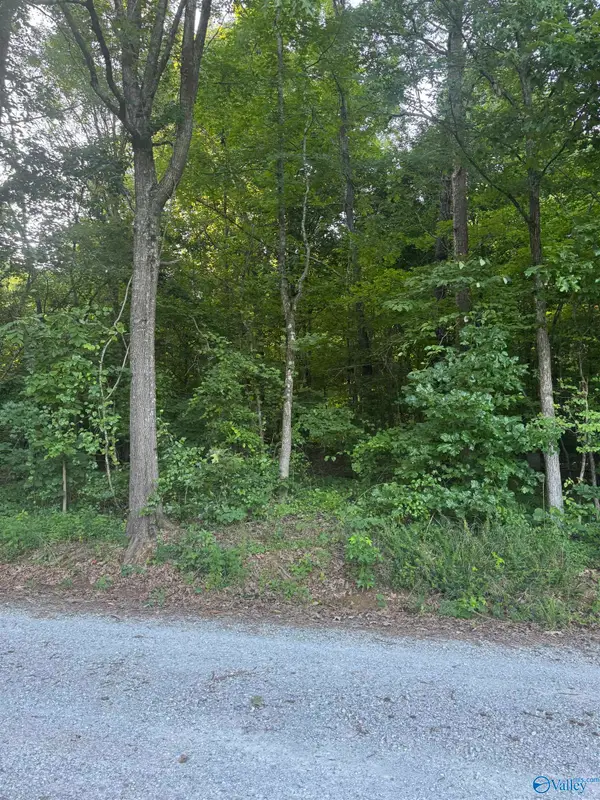 Lot 71 Goldenrod Way, Athens, AL 35614