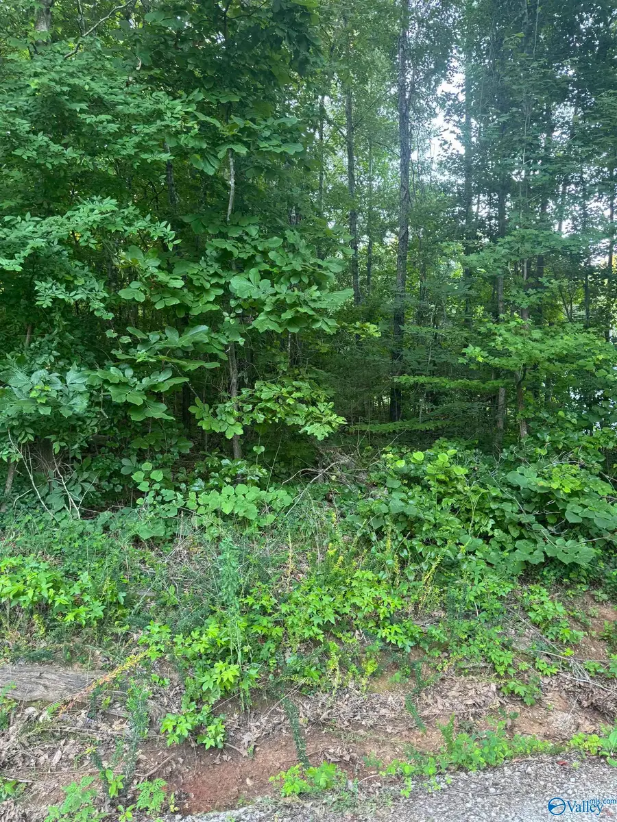 Lot 71 Goldenrod Way, Athens, AL 35614 - #2