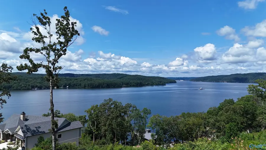 415 Boathouse Drive, Guntersville, AL 35976 - #3