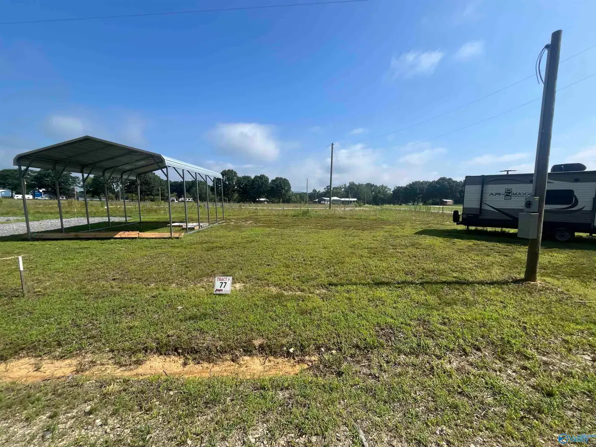 77 County Road 115, Cedar Bluff, AL 35959 - #1