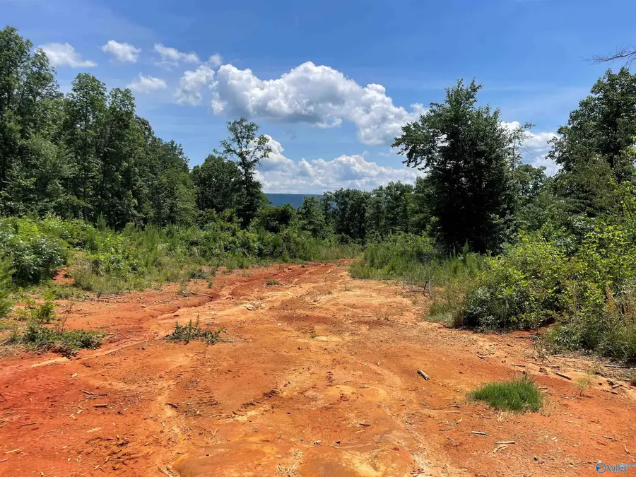 199 Acres Hornbuckle Road, Collinsville, AL 35961 - #3