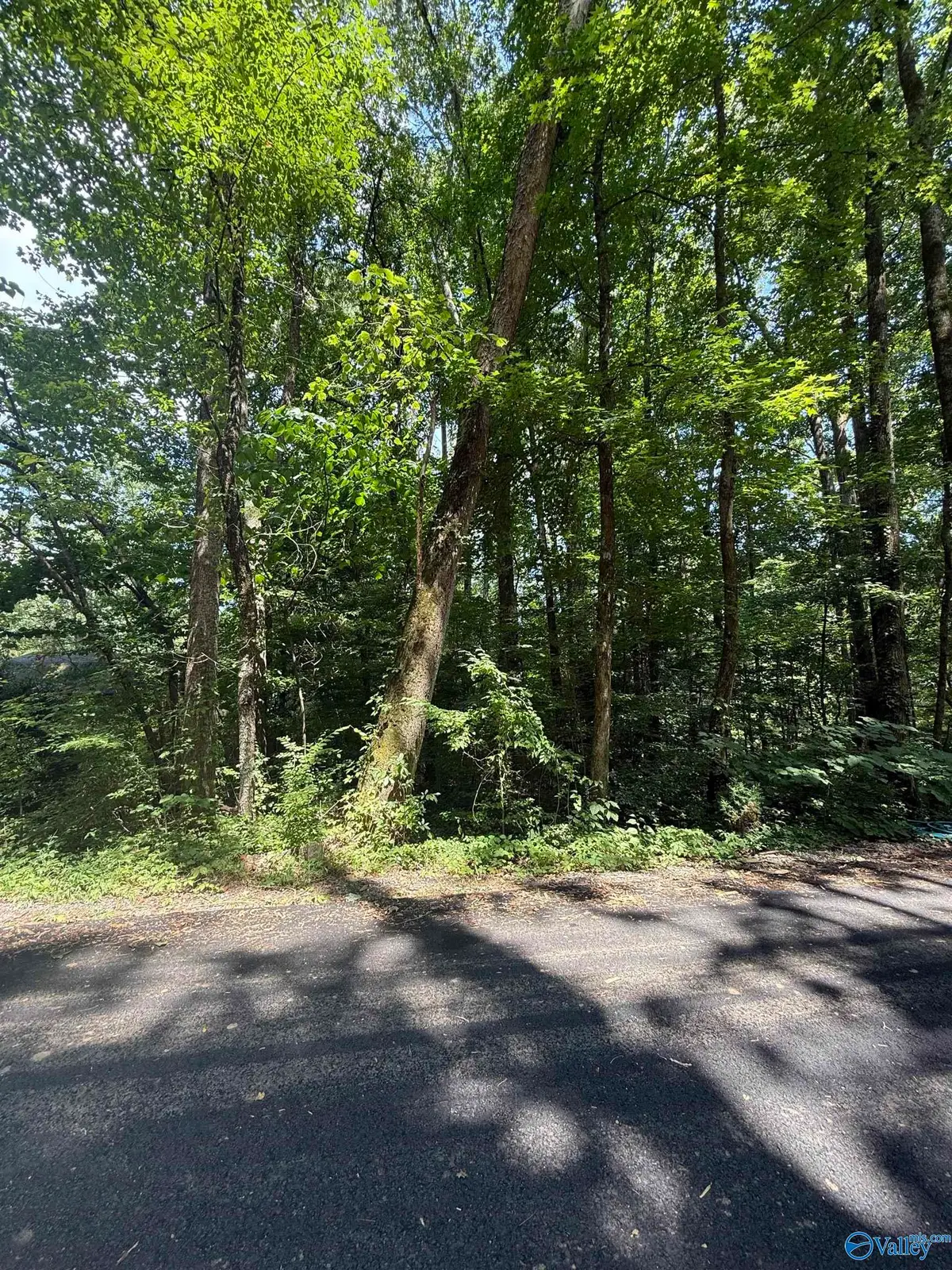 LOT 3 Kristi Lane, Grant, AL 35747 - #1