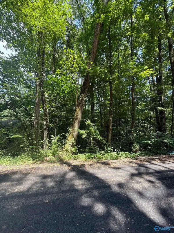 LOT 3 Kristi Lane, Grant, AL 35747