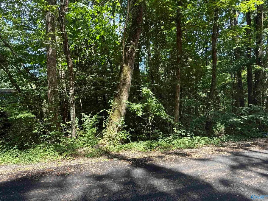 LOT 3 Kristi Lane, Grant, AL 35747 - #2