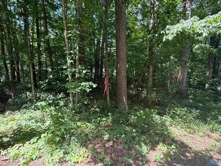 LOT 3 Kristi Lane, Grant, AL 35747 - #3