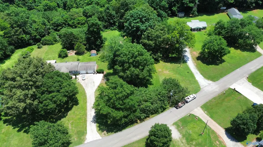 Tract 2 Vaughn Street, Elkmont, AL 35620 - #2