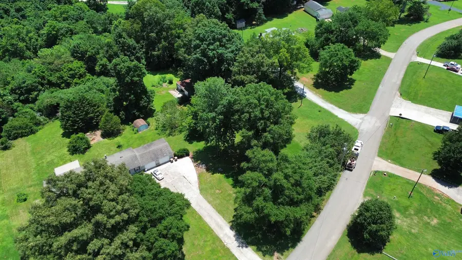 Tract 2 Vaughn Street, Elkmont, AL 35620 - #3