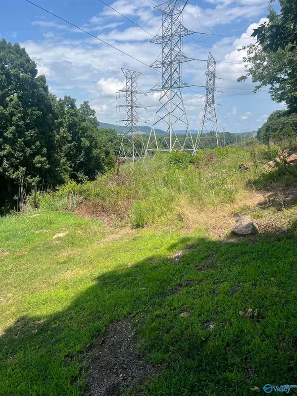 1.12 acres Savory Drive, Scottsboro, AL 35769
