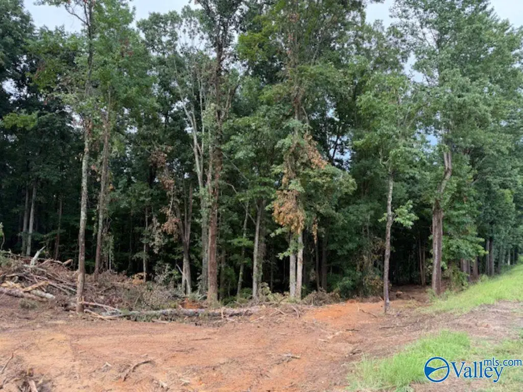2756 Wilhite Road, Falkville, AL 35622 - #1