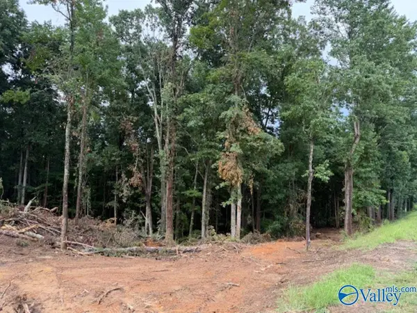 2756 Wilhite Road, Falkville, AL 35622