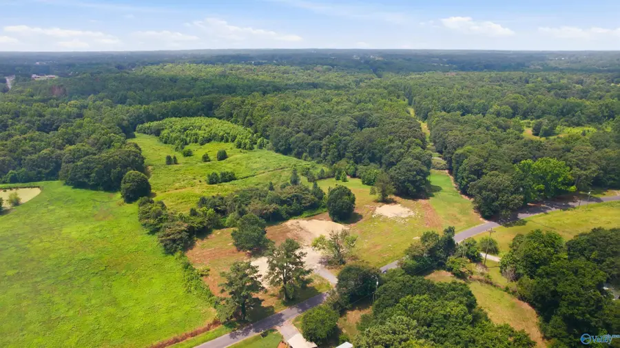 1272 Mobb Hill Road, Union Grove, AL 35175 - #2