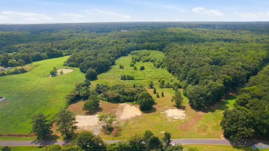 1272 Mobb Hill Road, Union Grove, AL 35175 - #3
