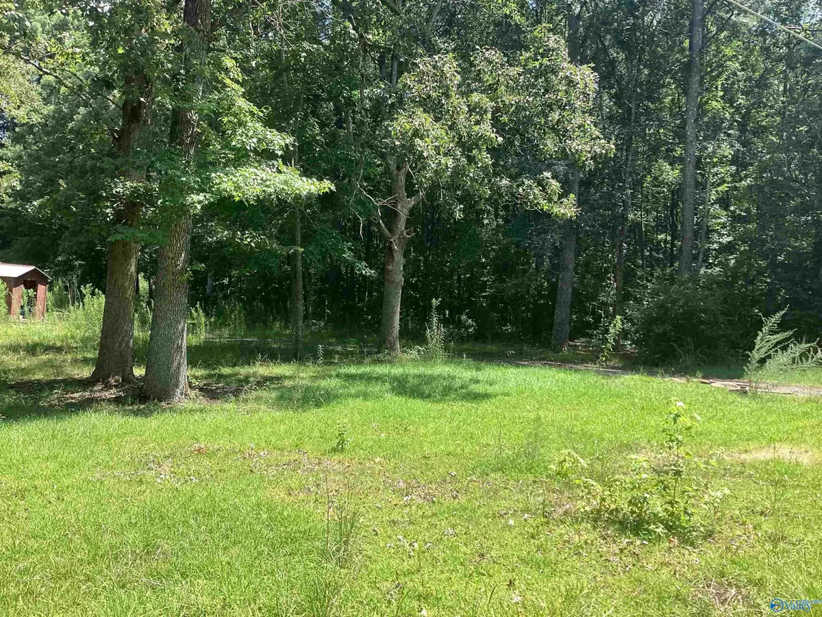 13 acres Gray Road, Gadsden, AL 35903 - #1