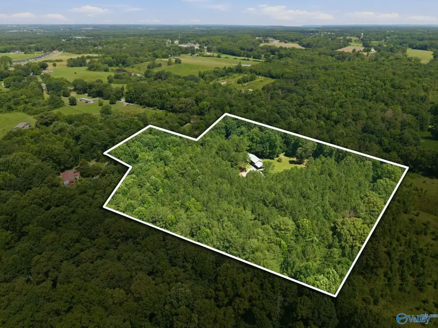 239 Shedd Road, Baileyton, AL 35019 - #3