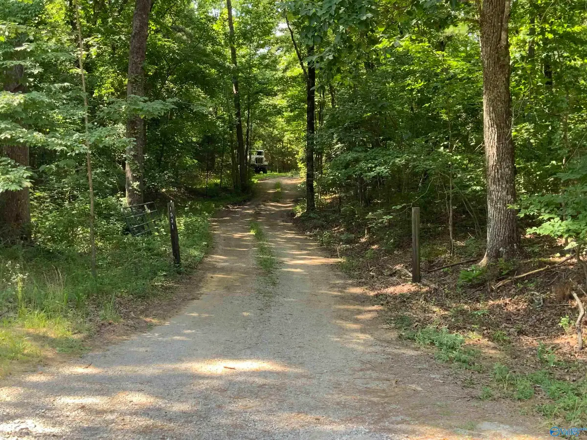 15 Acres County Road 216, Woodville, AL 35776 - #1