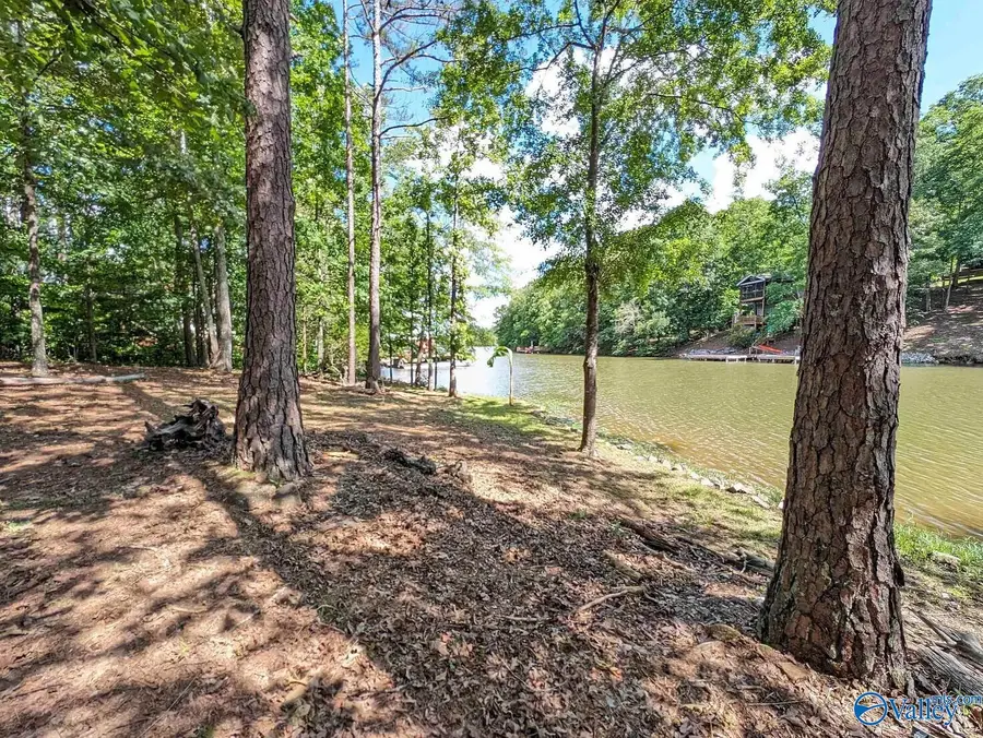 199 Lakewood Drive #LOT 45, Wedowee, AL 36278 - #3