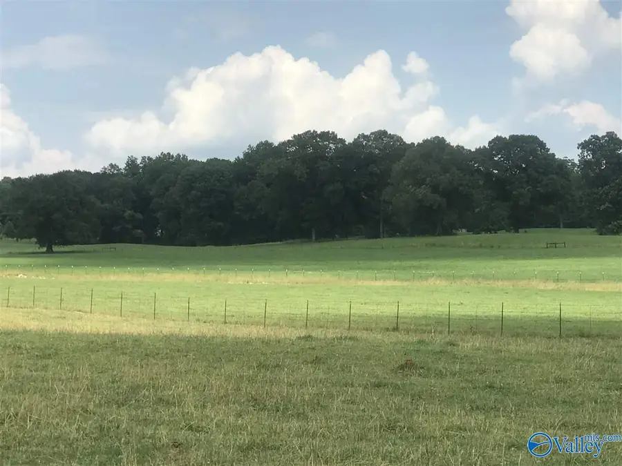 19 Hawthorn Way, Trinity, AL 35673 - #2