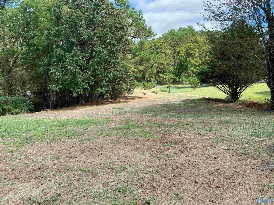 1 Acre Highway 67, Somerville, AL 35670 - #2