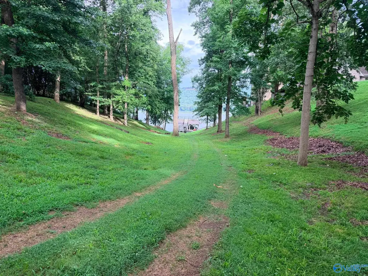 Lot 230 Lookout Mountain Drive, Scottsboro, AL 35769 - #1