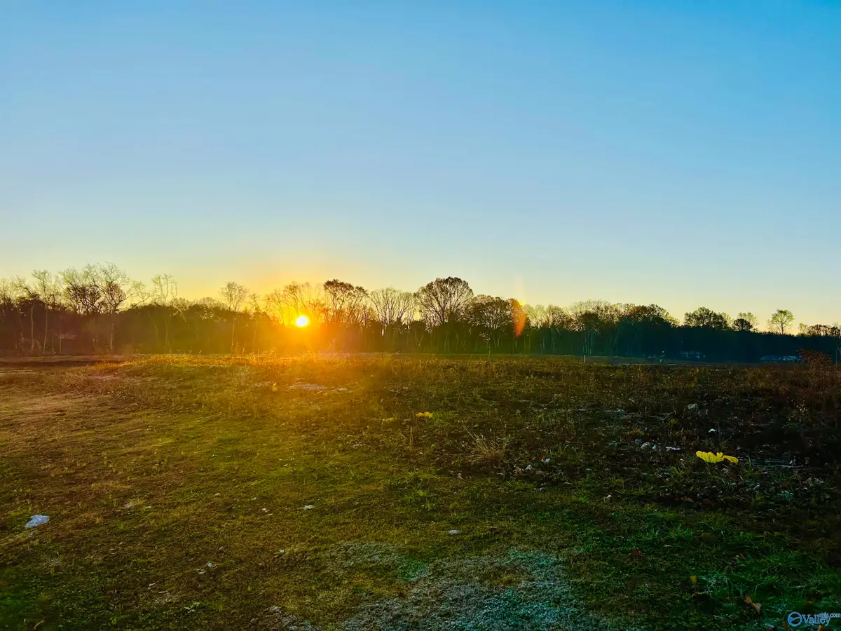 13 Acres Bunny Lane, Decatur, AL 35603 - #1