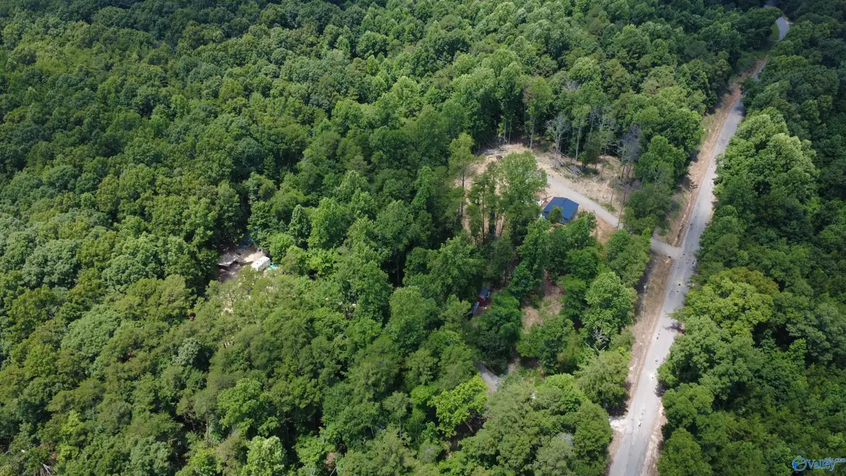 2194 County Road 189, Bridgeport, AL 35740 - #1