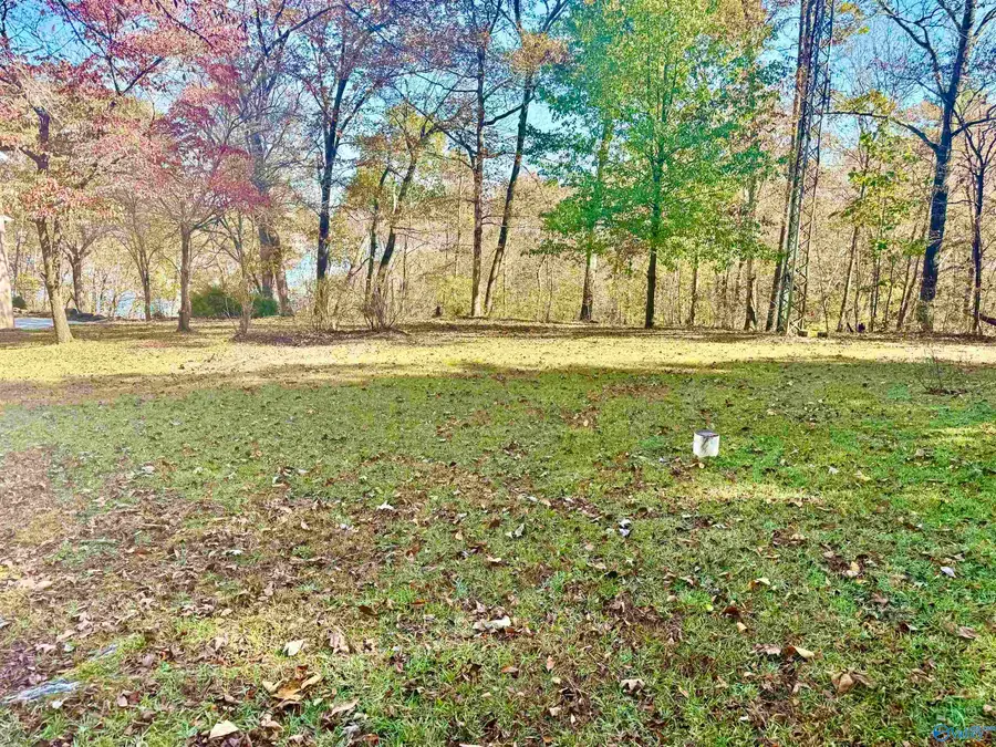 .71 Acres County Road 129, Bremen, AL 35033 - #3