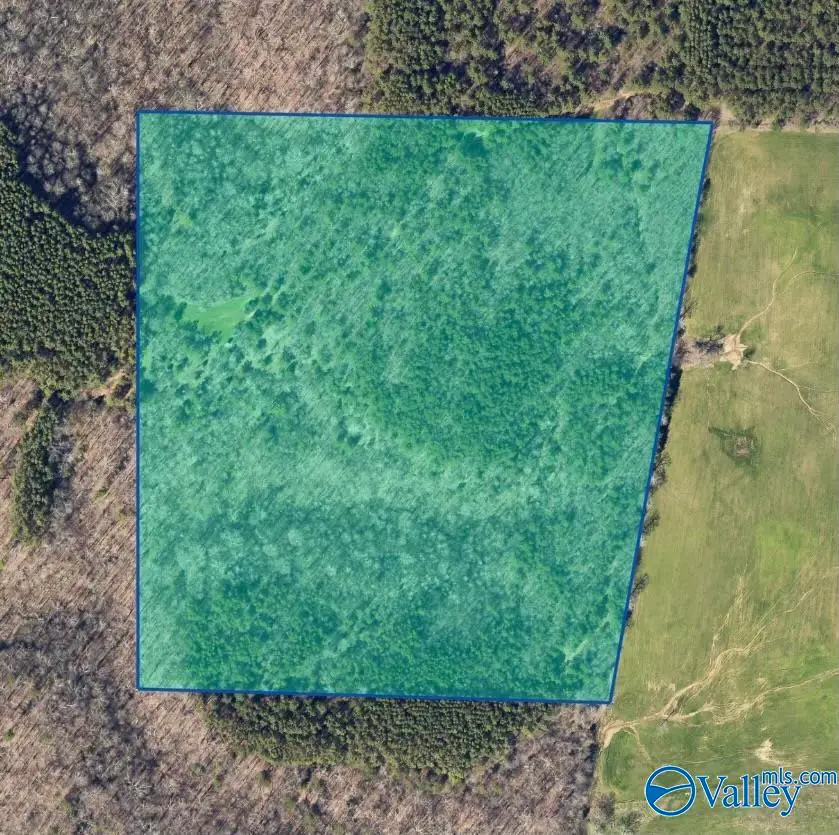 36 Acres County Road 560, Moulton, AL 35650 - #1