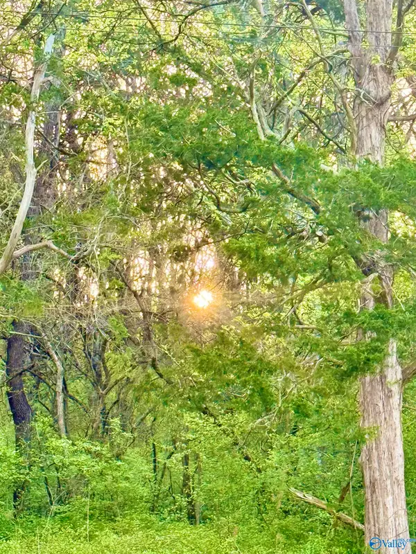 4.94 Acres Lyons Road, Decatur, AL 35603