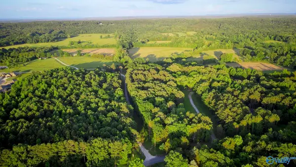 18 Acres South Chapel Hill Road, Decatur, AL 35603