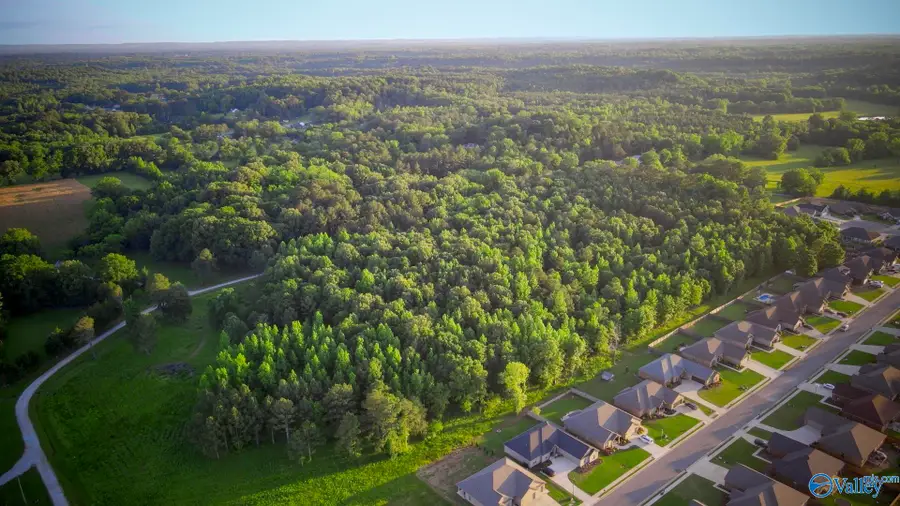 18 Acres South Chapel Hill Road, Decatur, AL 35603 - #3