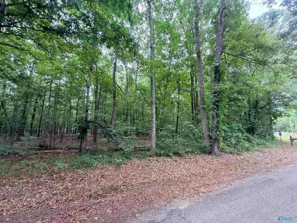 001 County Road 667, Cedar Bluff, AL 35959
