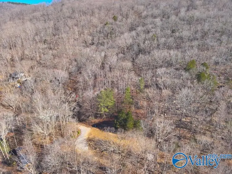 45 +/- Acres Shooting Star Trail, Gurley, AL 35748 - #1