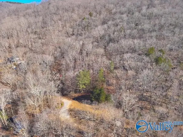 45 +/- Acres Shooting Star Trail, Gurley, AL 35748