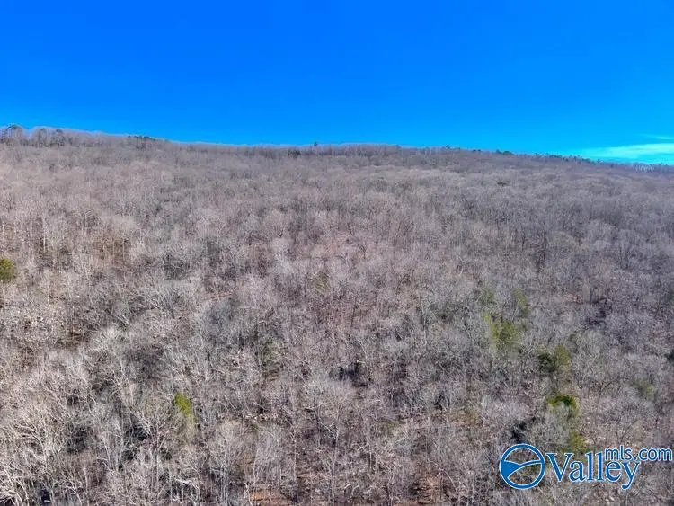 45 +/- Acres Shooting Star Trail, Gurley, AL 35748 - #2