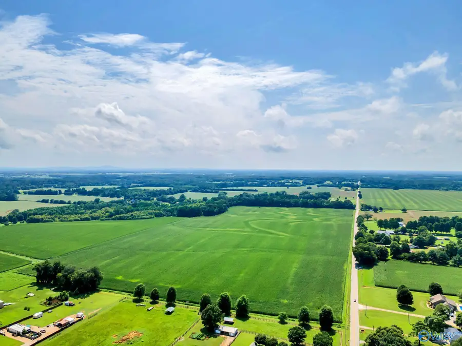 80 Buddy Williamson Road, New Market, AL 35761 - #3