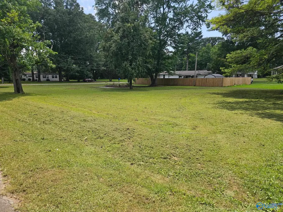 110 Park Street, Rogersville, AL 35652 - #3