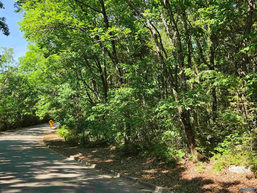 Lot 5 Pikes Peak Drive, Huntsville, AL 35803 - #2