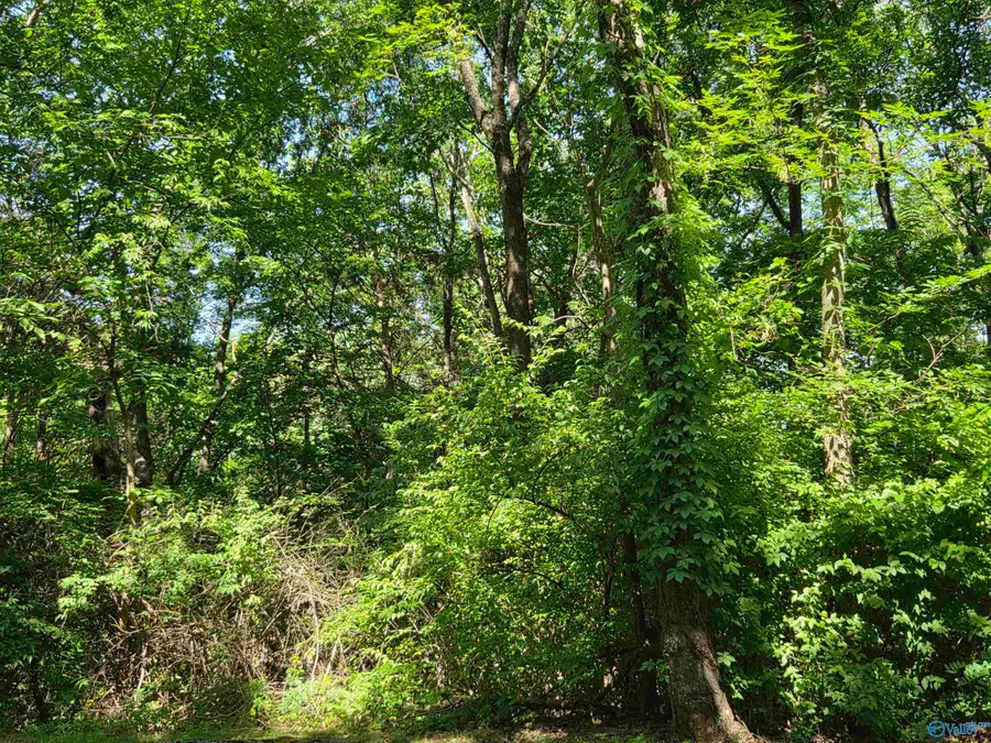 Lot 5 Pikes Peak Drive, Huntsville, AL 35803 - #3