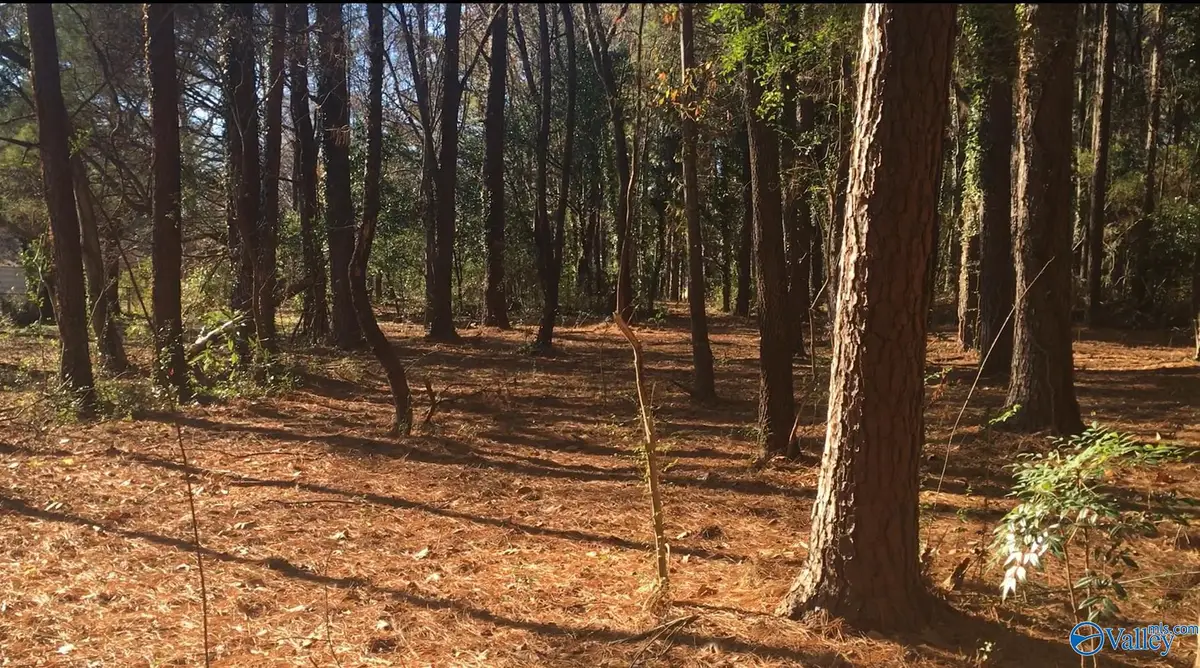 2.4 ACRES Linde Street Nw, Huntsville, AL 35810 - #1