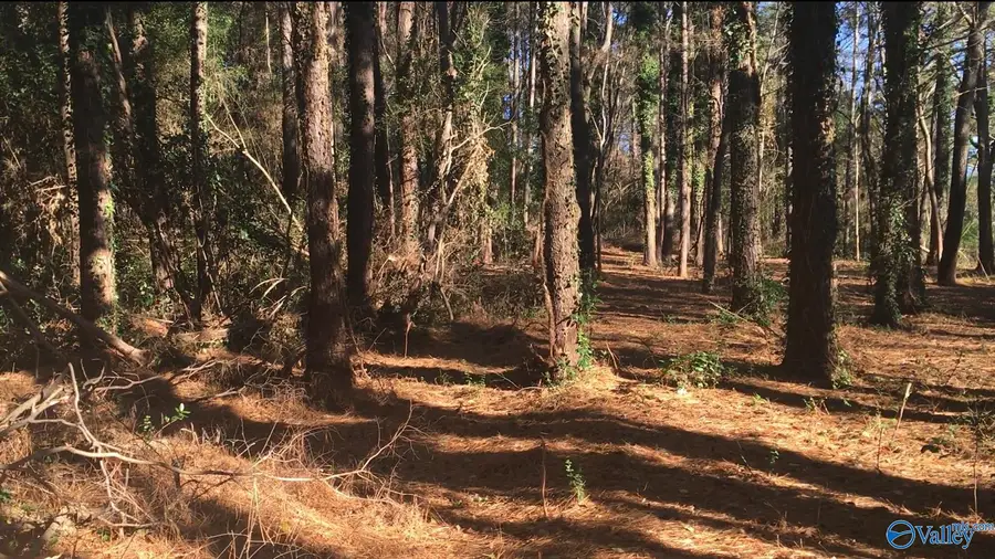 2.4 ACRES Linde Street Nw, Huntsville, AL 35810 - #3