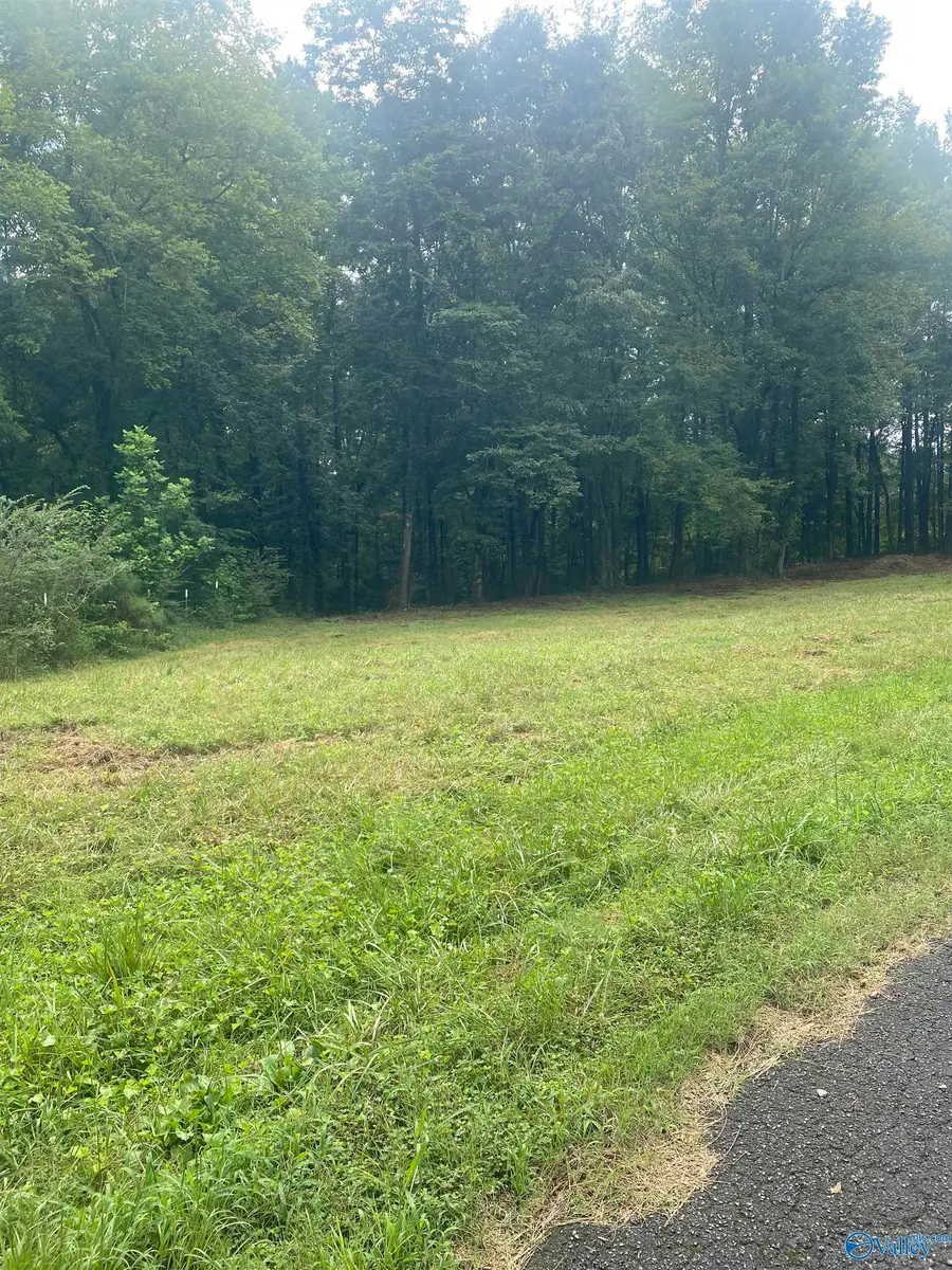 306 Snider Road, Guntersville, AL 35976 - #2