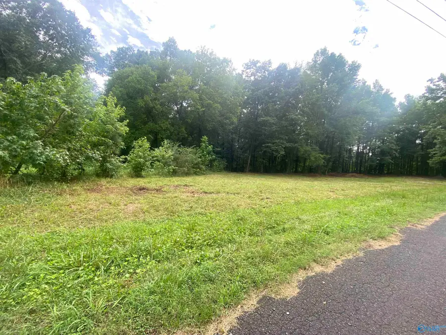 306 Snider Road, Guntersville, AL 35976 - #3