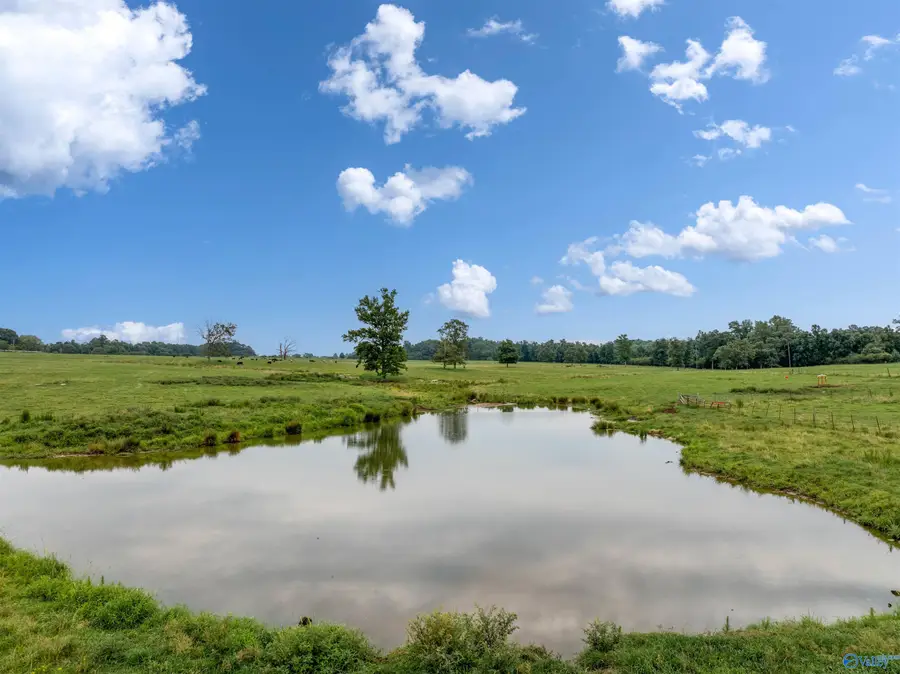 70 acres County Road 538, Fyffe, AL 35971 - #2