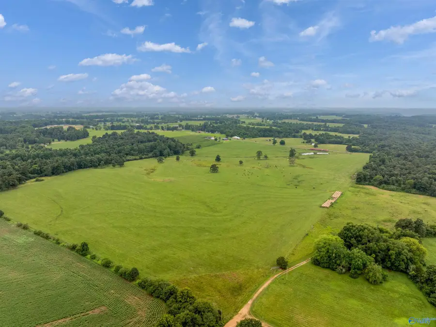 70 acres County Road 538, Fyffe, AL 35971 - #3