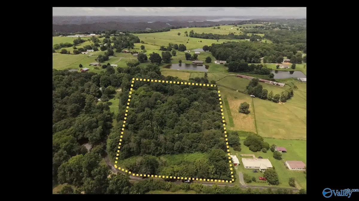 196 Rice Road, Guntersville, AL 35957 - #1