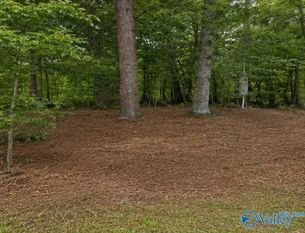 491 County Road # 65, Centre, AL 35960