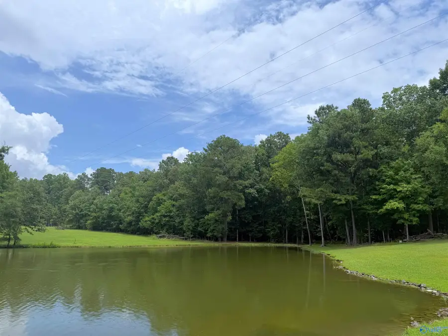 Lot 13 County Road 131, Cedar Bluff, AL 35959 - #2
