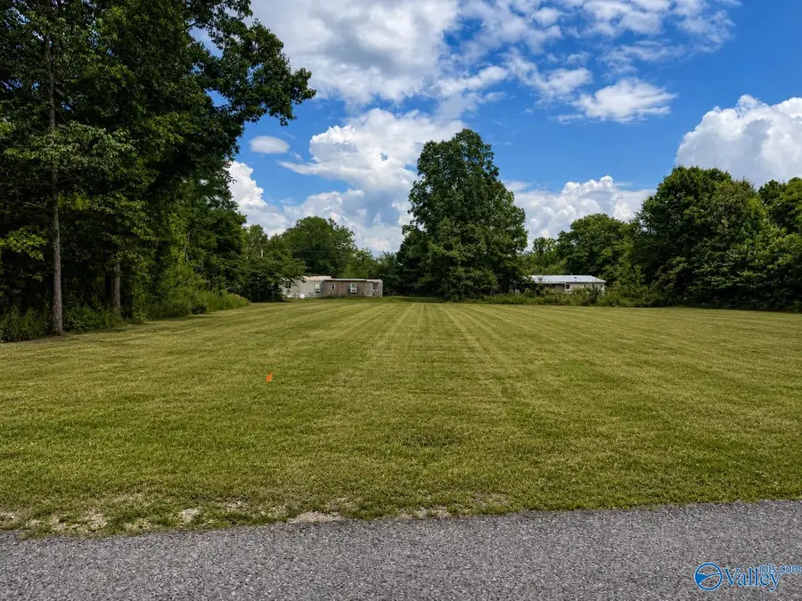 Lots 8 & 9 County Road 597, Cedar Bluff, AL 35959 - #2