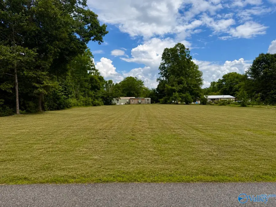 Lots 8 & 9 County Road 597, Cedar Bluff, AL 35959 - #3